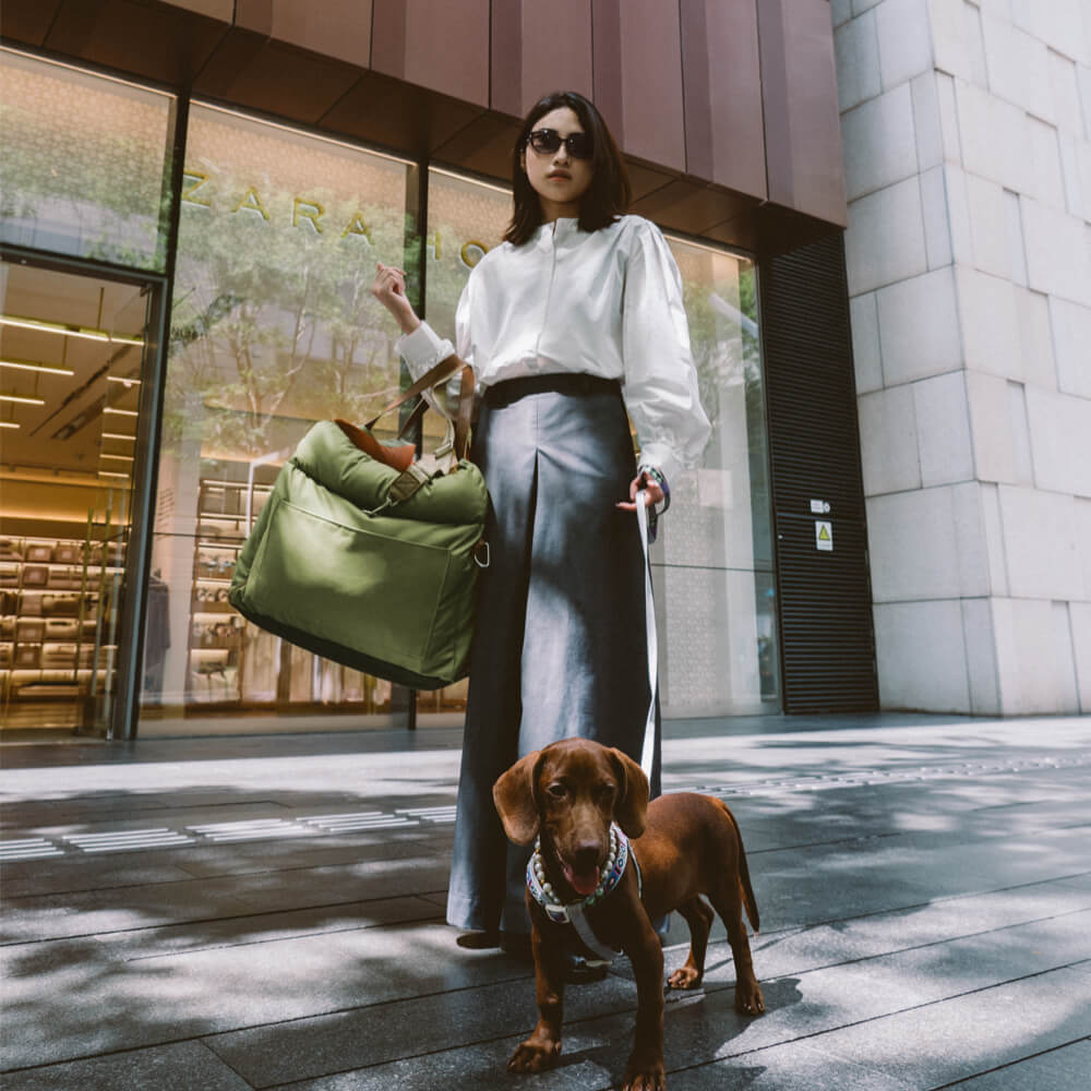 Luxury Dog Car Seat | Comfortable & Safe Travel