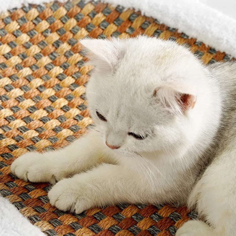 CatComfort Bed - Trendy & Comfortable for Your Beloved Pet