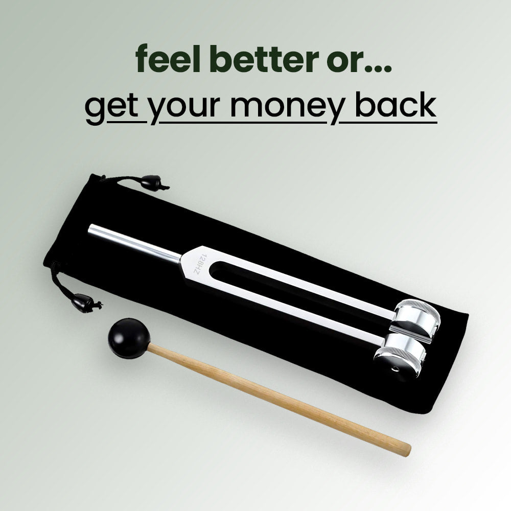 Sound Therapy Instrument – VibeTherapy