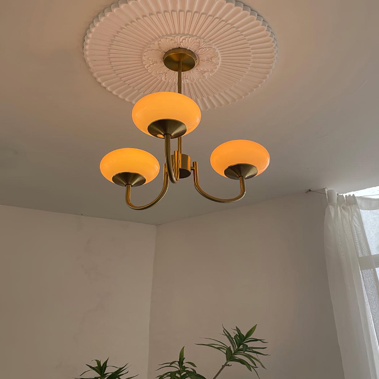 Modern Chandelier | Luxury & Refined Design