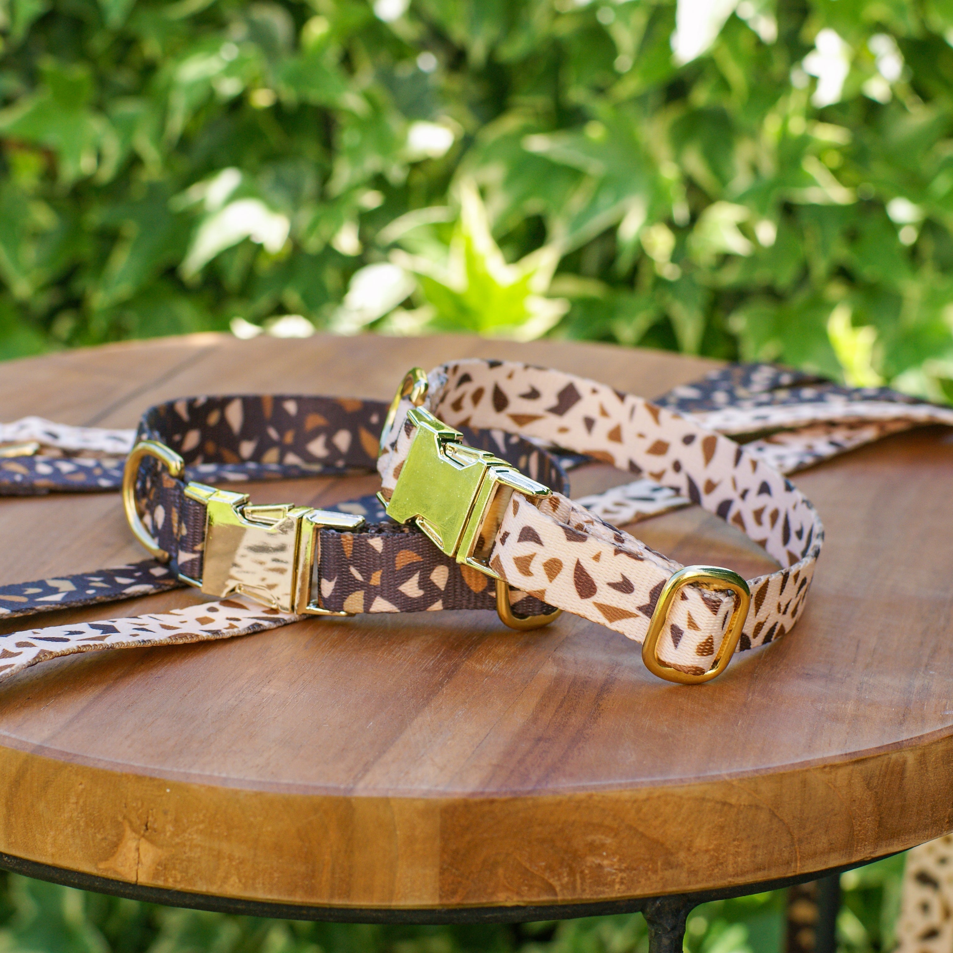 Dog Collar with Golden Accents – GoldenTerra