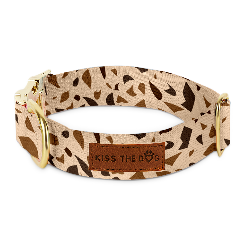 Dog Collar with Golden Accents – GoldenTerra