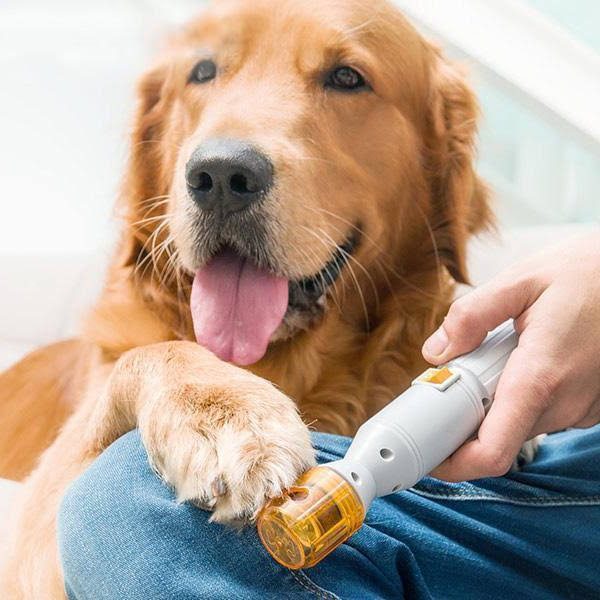 Painless Nail Clipper for Pets - Comfortable