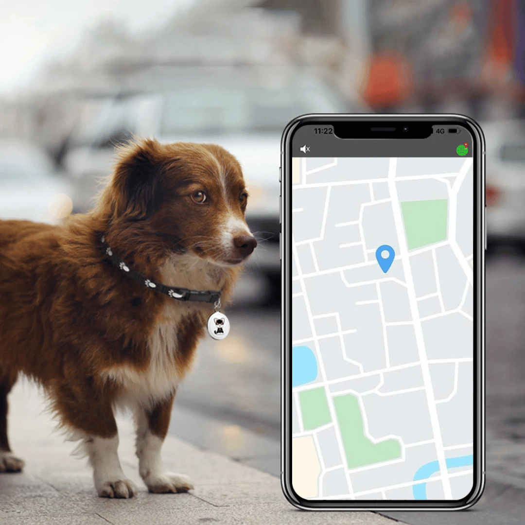 Sandsberg | Pet GPS Tracker - Dogs and Cats - Android and iOS