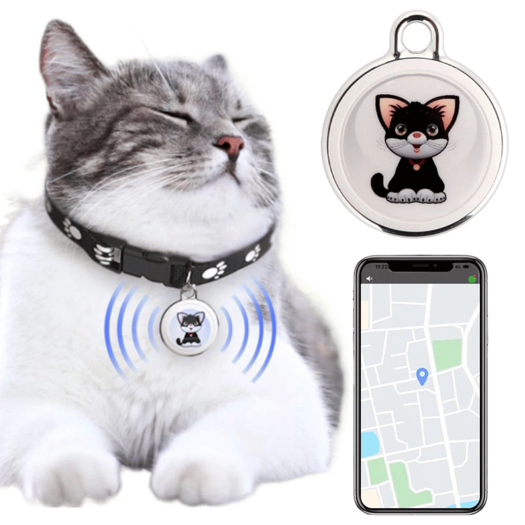 Sandsberg | Pet GPS Tracker - Dogs and Cats - Android and iOS