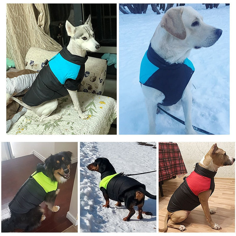 CozyPaws Dog Coat - Warm & Waterproof