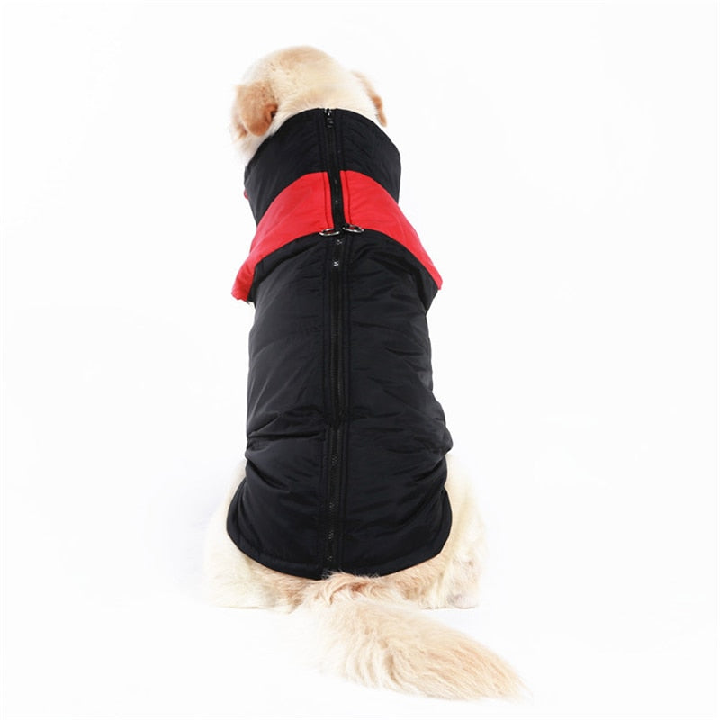 CozyPaws Dog Coat - Warm & Waterproof