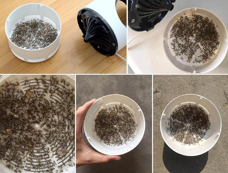 Electric Mosquito Destroyer - Zyntra