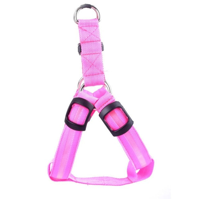 Dog Harness with LED - Glow&Go