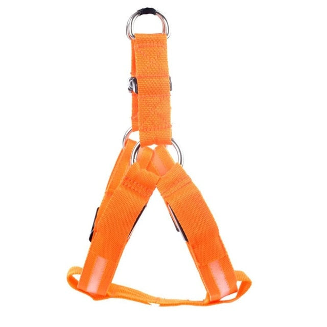 Dog Harness with LED - Glow&Go