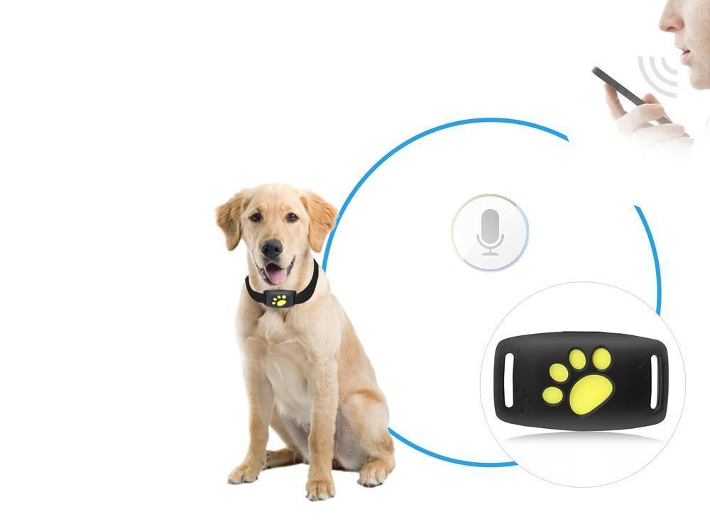 TrackCat - GPS Tracking System for Cats with Real-Time Updates
