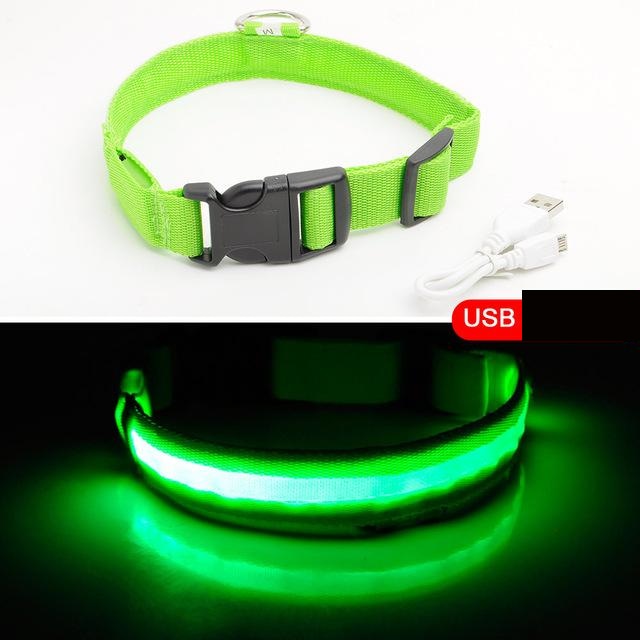 HondVeilig Pro - LED Collar for Dogs - Feel Safe and Stylish While Walking