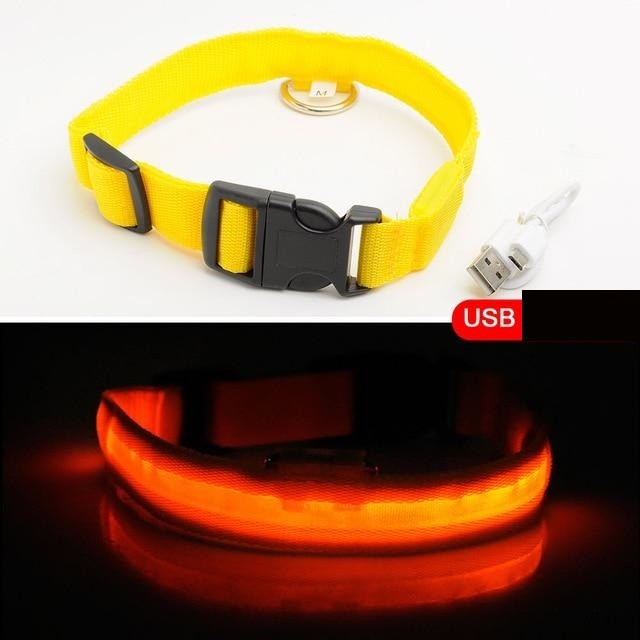 HondVeilig Pro - LED Collar for Dogs - Feel Safe and Stylish While Walking