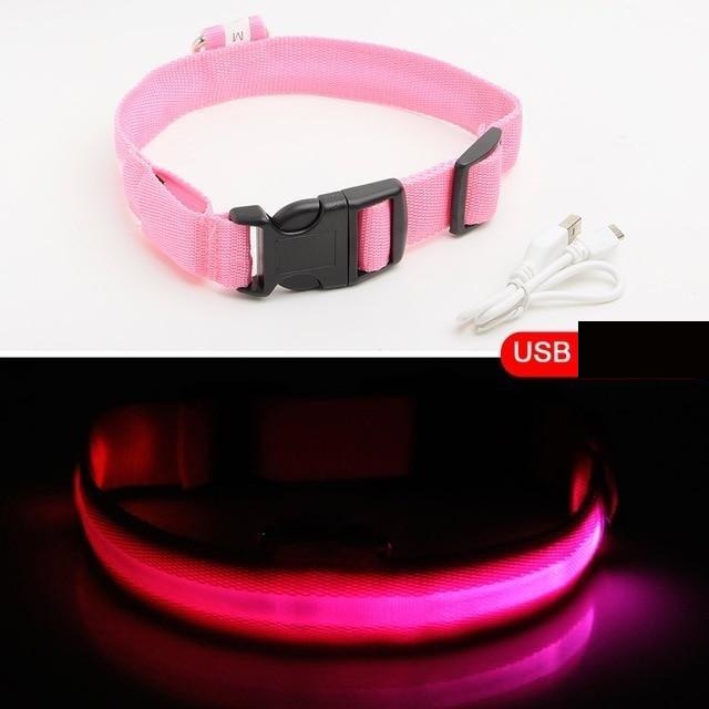 HondVeilig Pro - LED Collar for Dogs - Feel Safe and Stylish While Walking