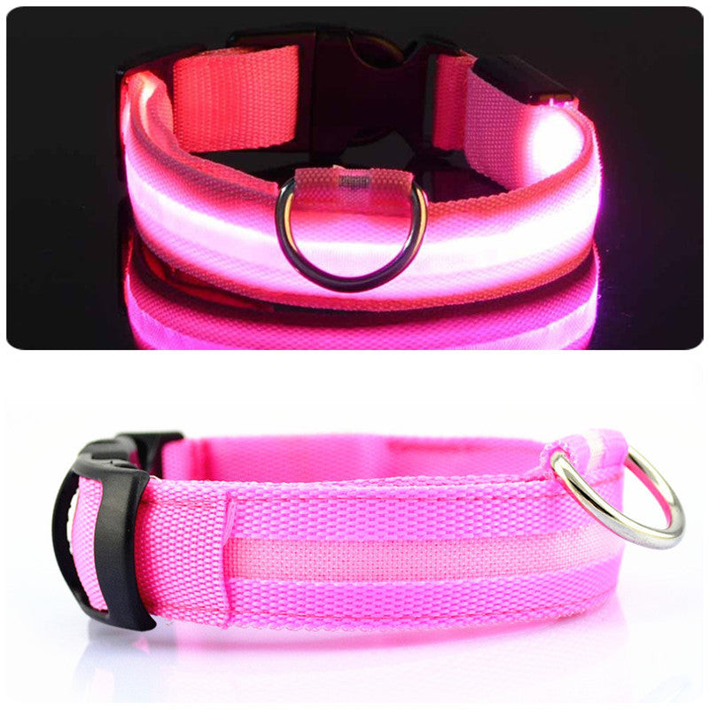 HondVeilig Pro - LED Collar for Dogs - Feel Safe and Stylish While Walking