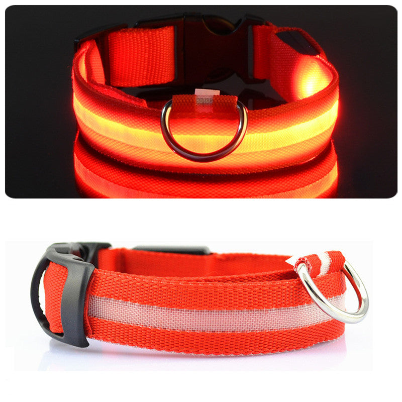 HondVeilig Pro - LED Collar for Dogs - Feel Safe and Stylish While Walking