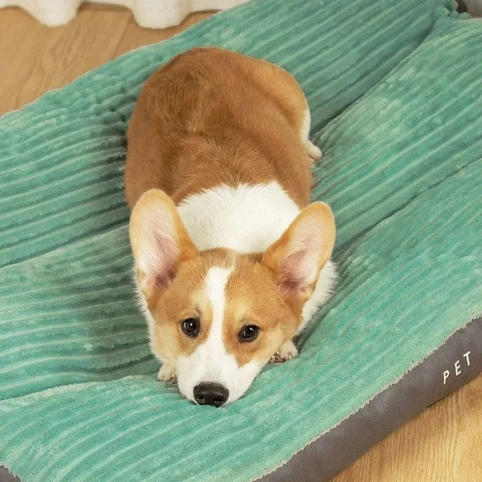 PawHaven Plush Dog Bed | Ultra-Soft, Machine-Washable Pet Comfort Bed