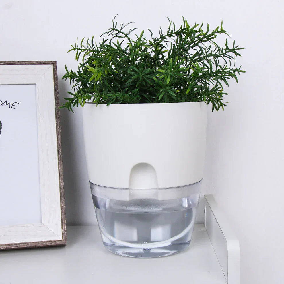 Self-Watering Plant Pot – AquaBloom