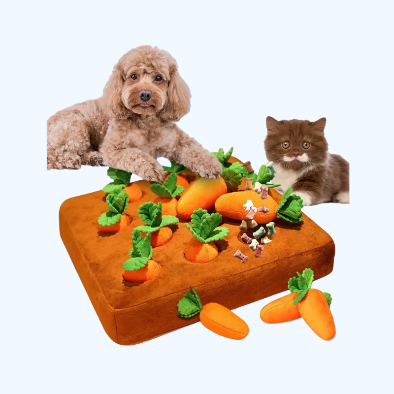 Snuffle Mat with Carrots - Pet Toy