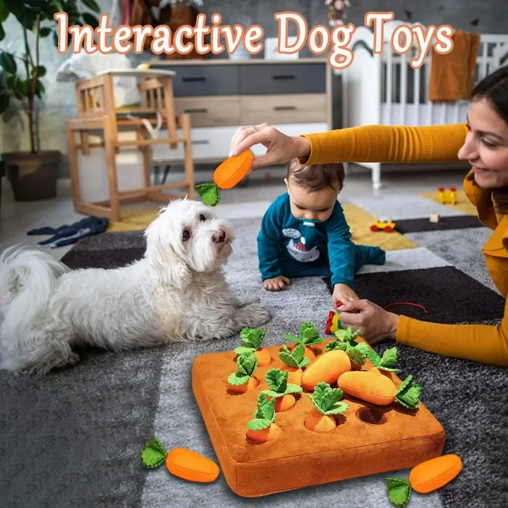 Snuffle Mat with Carrots - Pet Toy