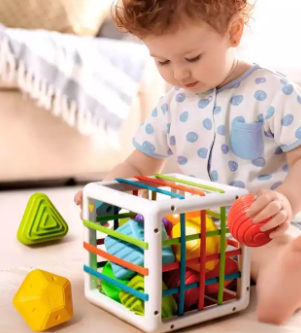 Sorting Cube | Educational Baby Toy | Child Development