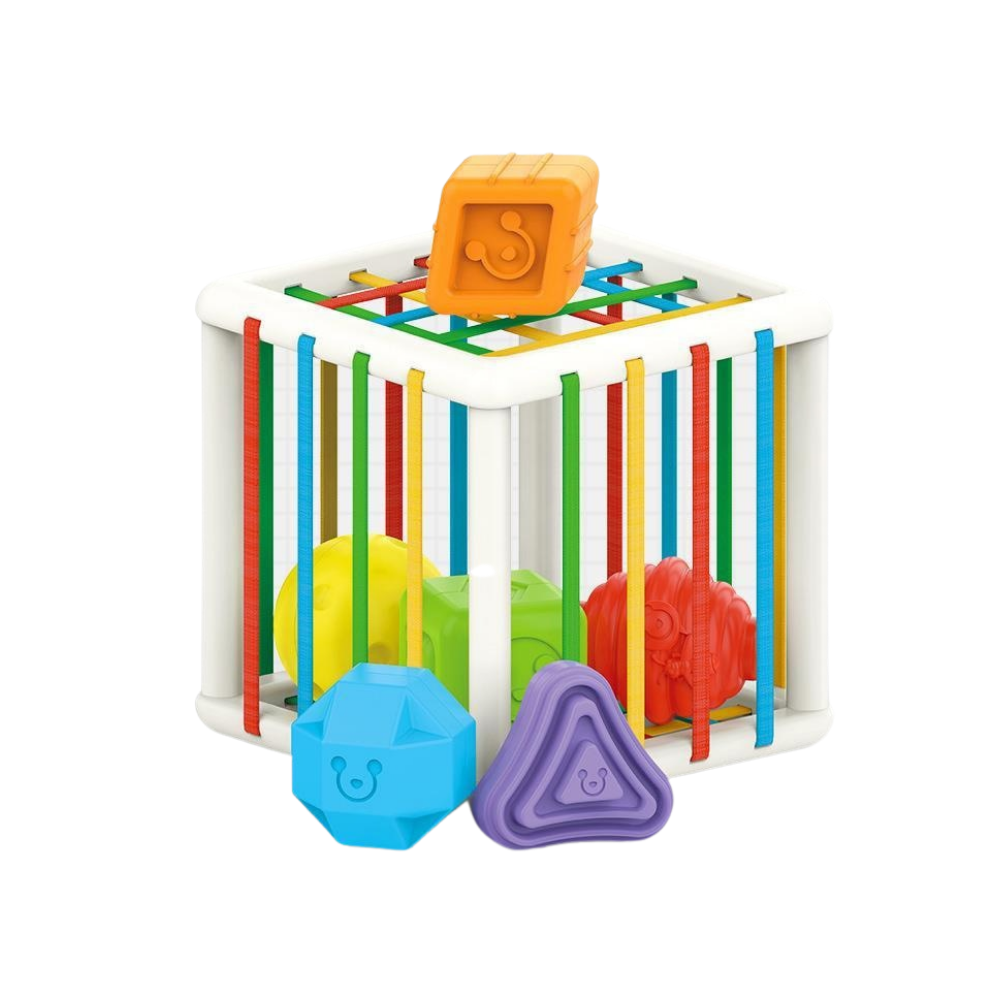 Sorting Cube | Educational Baby Toy | Child Development
