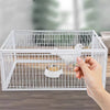 Gentle Bird Trap with Anti-Return Mechanism – BirdSafe Trap