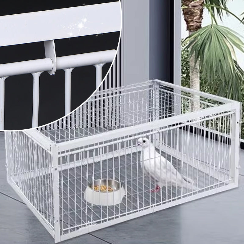 Gentle Bird Trap with Anti-Return Mechanism – BirdSafe Trap