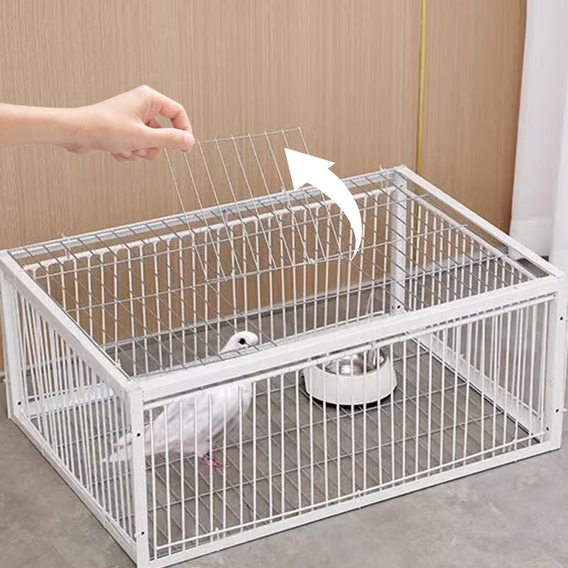 Gentle Bird Trap with Anti-Return Mechanism – BirdSafe Trap