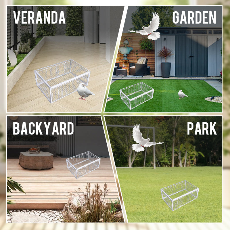 Gentle Bird Trap with Anti-Return Mechanism – BirdSafe Trap