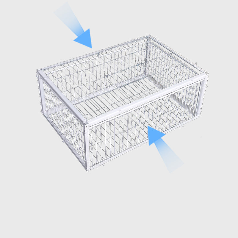 Gentle Bird Trap with Anti-Return Mechanism – BirdSafe Trap
