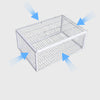 Gentle Bird Trap with Anti-Return Mechanism – BirdSafe Trap