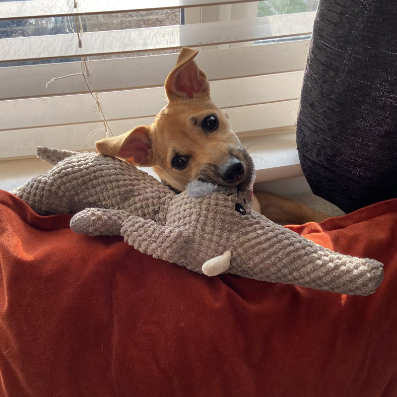 Indestructible Dog Toy - Long-lasting Chewing Fun