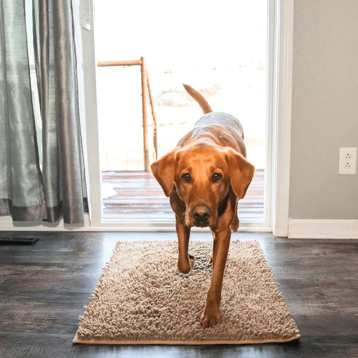 Super Absorbent Dog Mat – PawMat