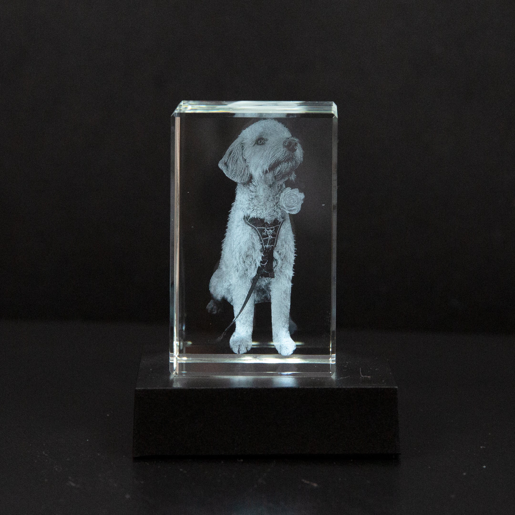 EternaGem Photo Crystal | Transform Your Photo into a Stunning Crystal Keepsake