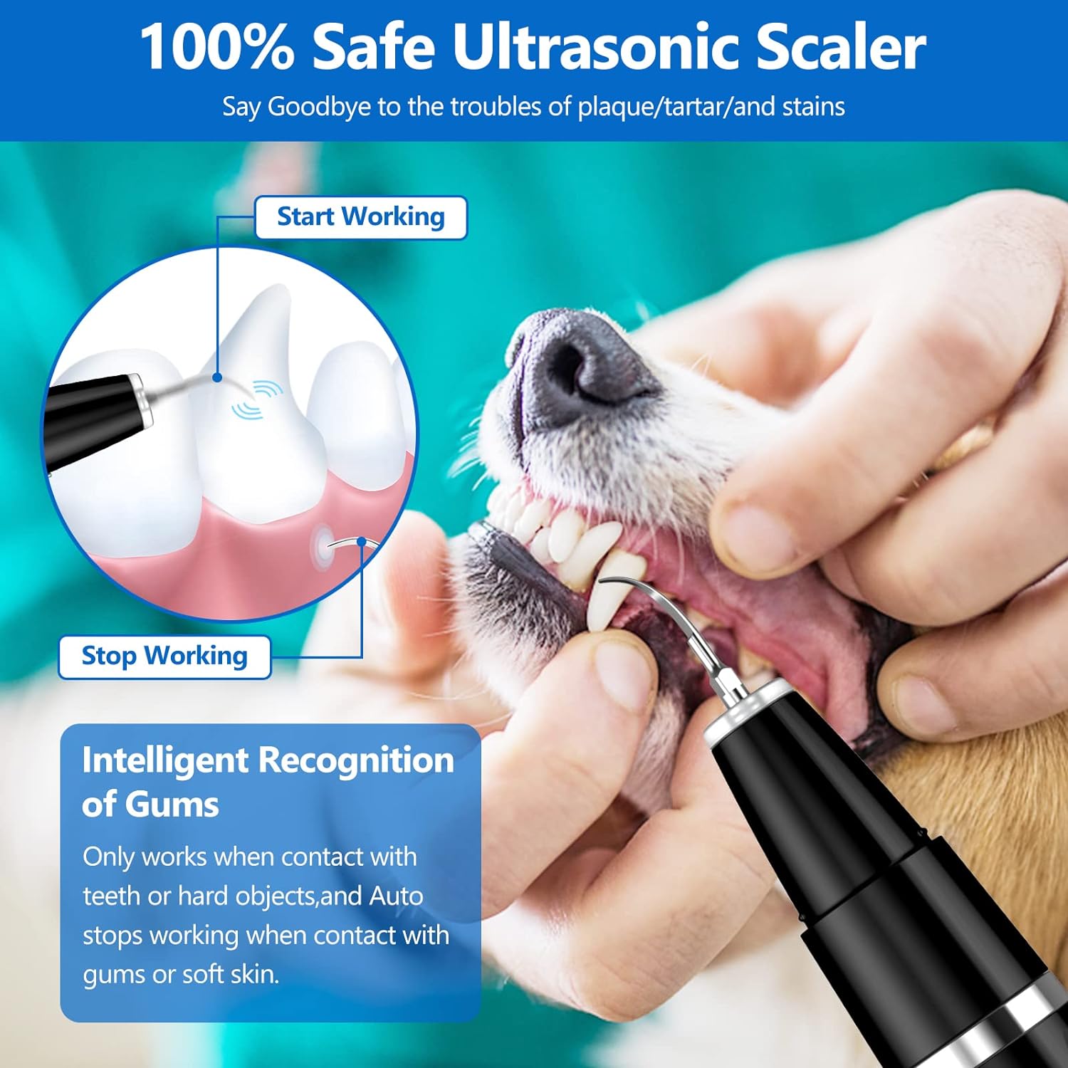 Ultrasonic Pet Tooth Cleaning Set – BuddyCare