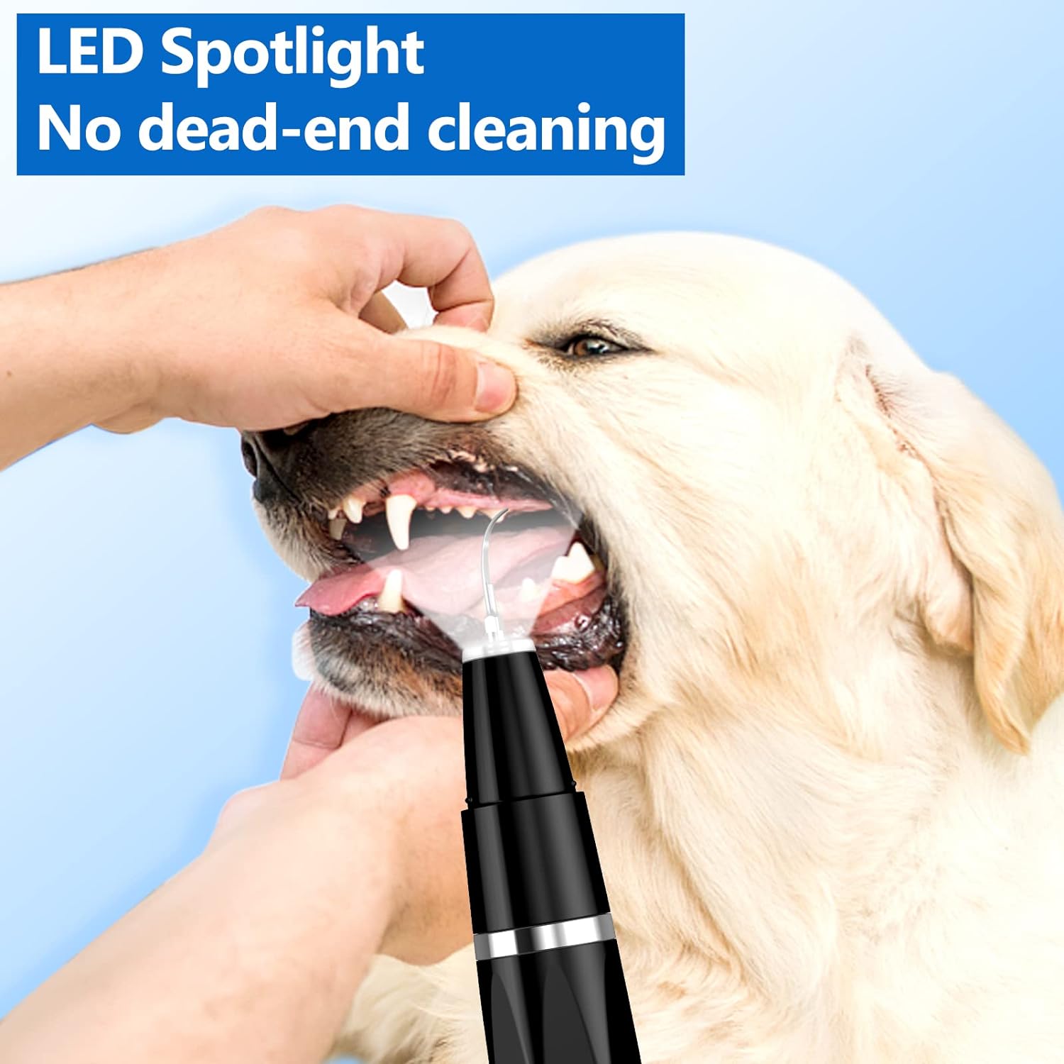 Ultrasonic Pet Tooth Cleaning Set – BuddyCare