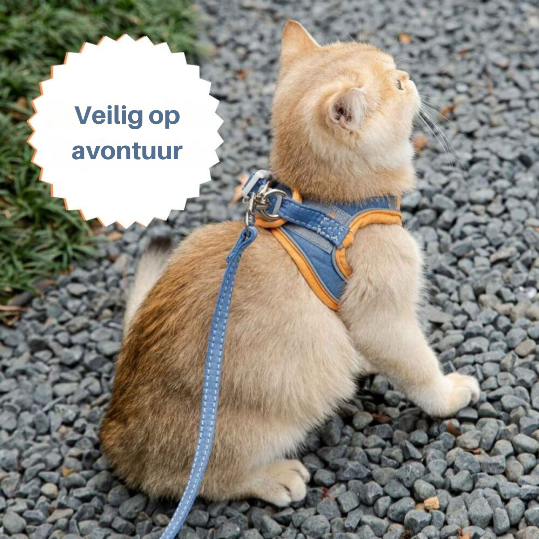 Cat Harness Oscar - Safe and Comfortable | Adjustable Sizes